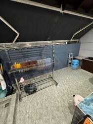 Saraca Villas (D28), Terrace #476895951